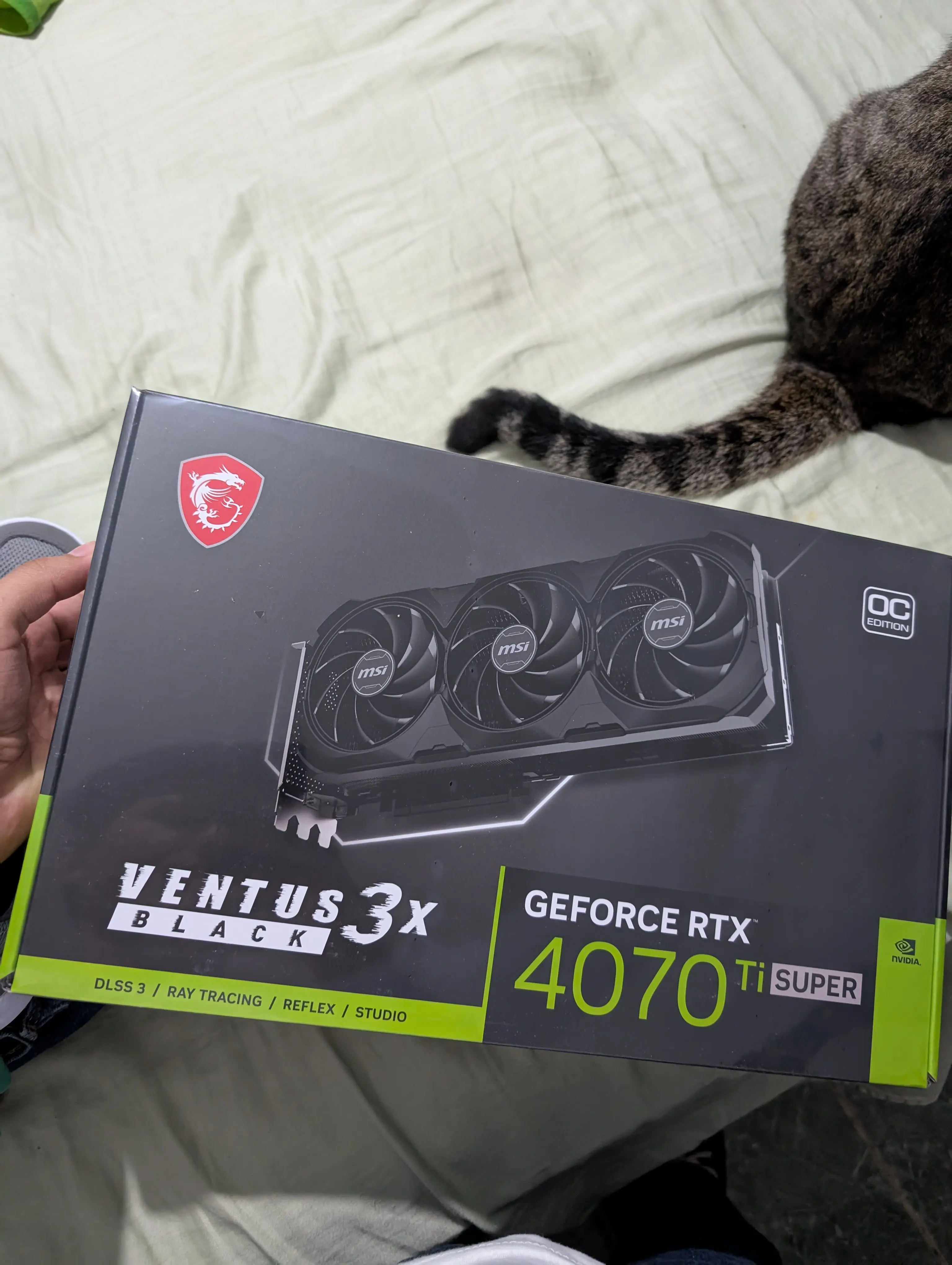 GPU